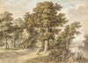 Woodland Scene
