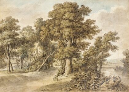 Woodland Scene