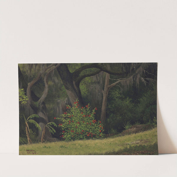 Woodland Scene with Red-Flowered Bush by William Aiken Walker