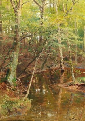Woodland Stream