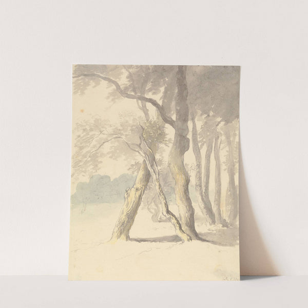 Woodland Study by Robert Hills