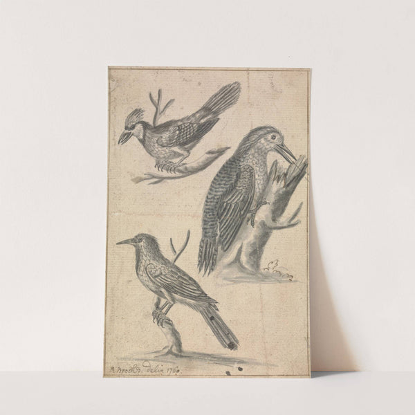 Woodpecker and Two Birds (1760) by Richard Brookes