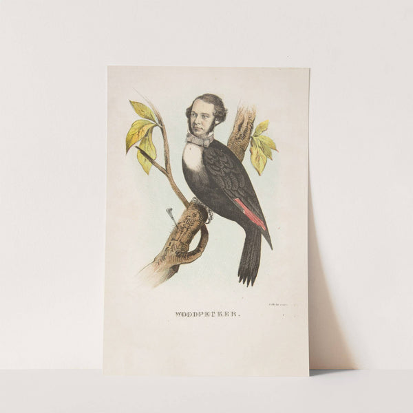 Woodpecker (William B. Gihon) (1851) by Henry Louis Stephens