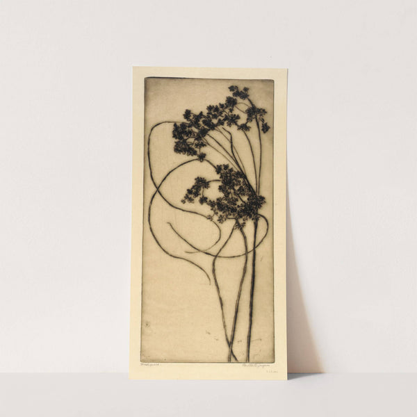 Woolgrass (ca. 1932) by Bertha Jaques