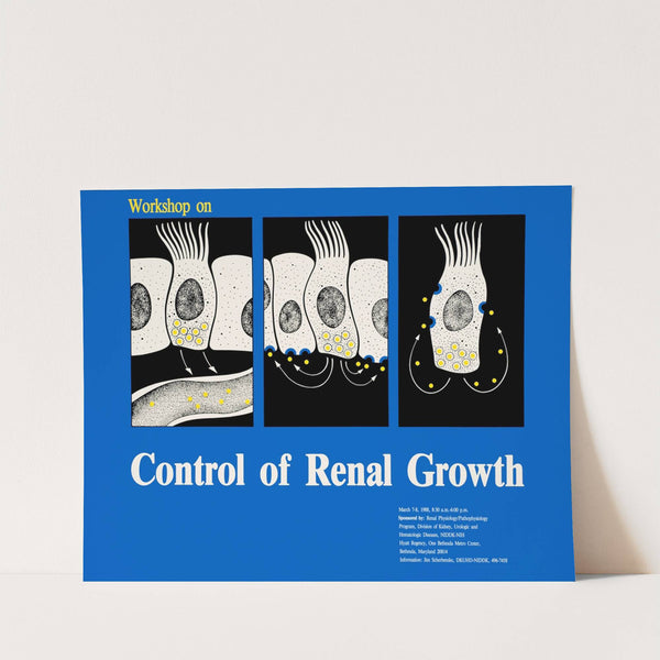 Workshop on control of renal growth by National Institutes of Health