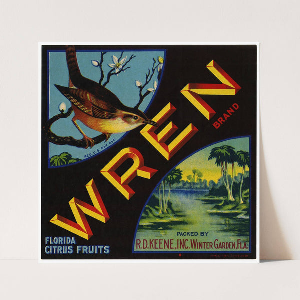 Wren Brand Florida Citrus Fruit Label (1940s)