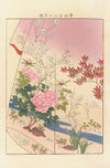 Yachigusa v. 15, Pl.11