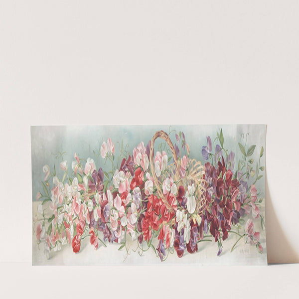 Yard of sweet peas (1898) by H. Arding