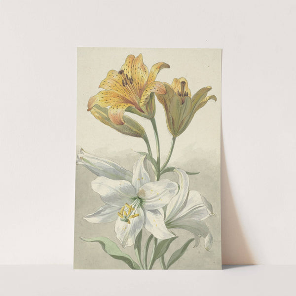 Yellow and White Lilies by Willem van Leen