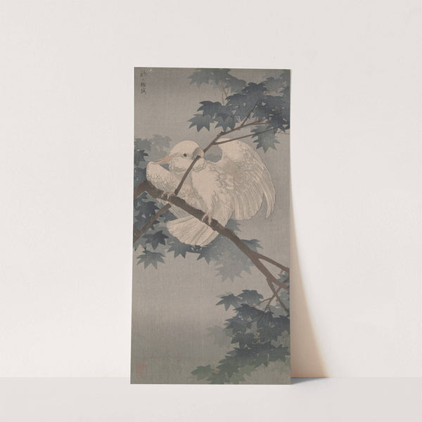 Yellow crested cockatoo in tree by Ohara Koson