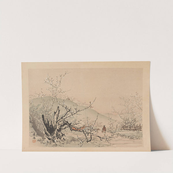 Yōfu gajō, Pl.30 (1895-1898)