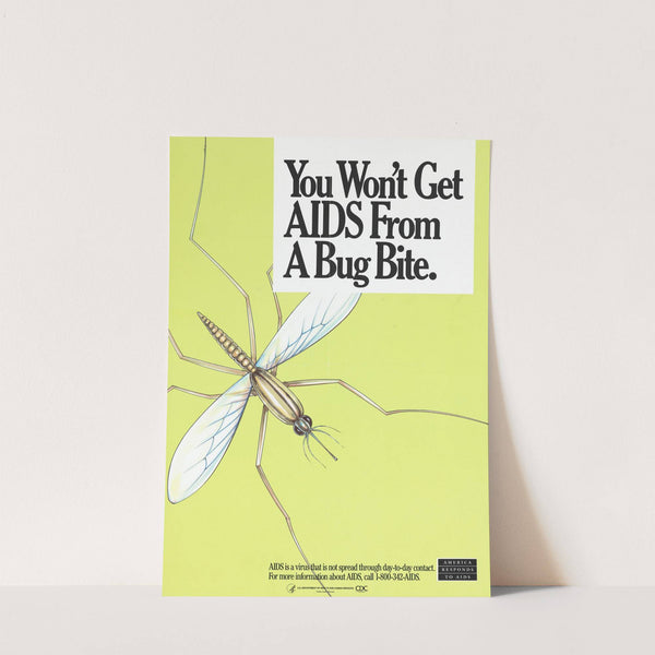You won't get AIDS from a Bug Bite by Anonymous
