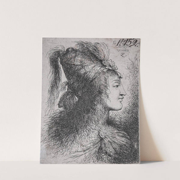 Young Man in Profile by Giovanni Benedetto Castiglione