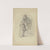 Young man on a chair by Wilhelm Amandus Beer