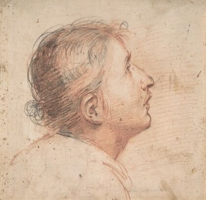 Youth Gazing Upwards in Profile
