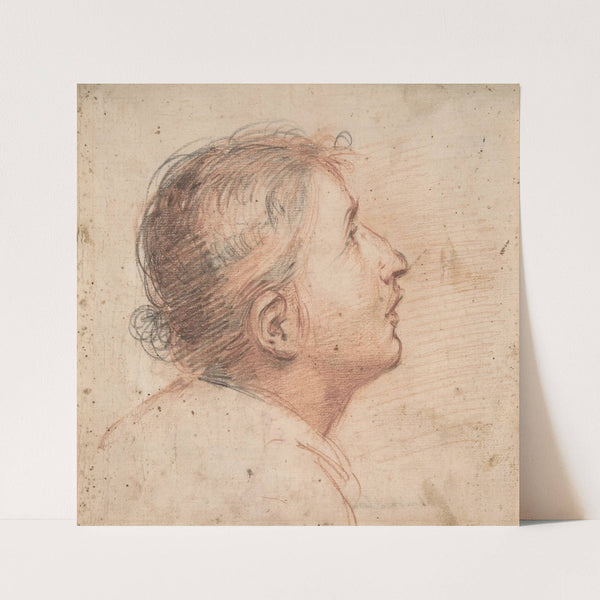 Youth Gazing Upwards in Profile (1607–61) by Francesco Montelatici