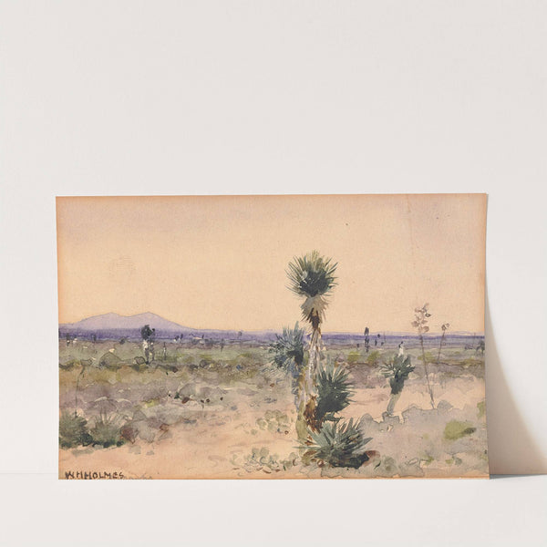 Yuccaland–Chihuahua, Mexico by William Henry Holmes