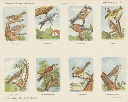 Zangvogels (1875-1919)