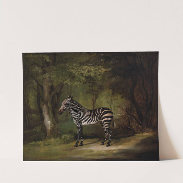 Zebra (1763) by George Stubbs