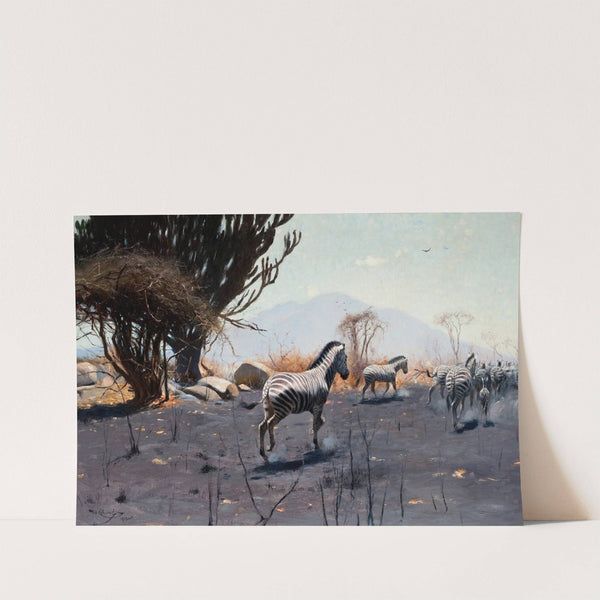 Zebras (1912) by Wilhelm Kuhnert