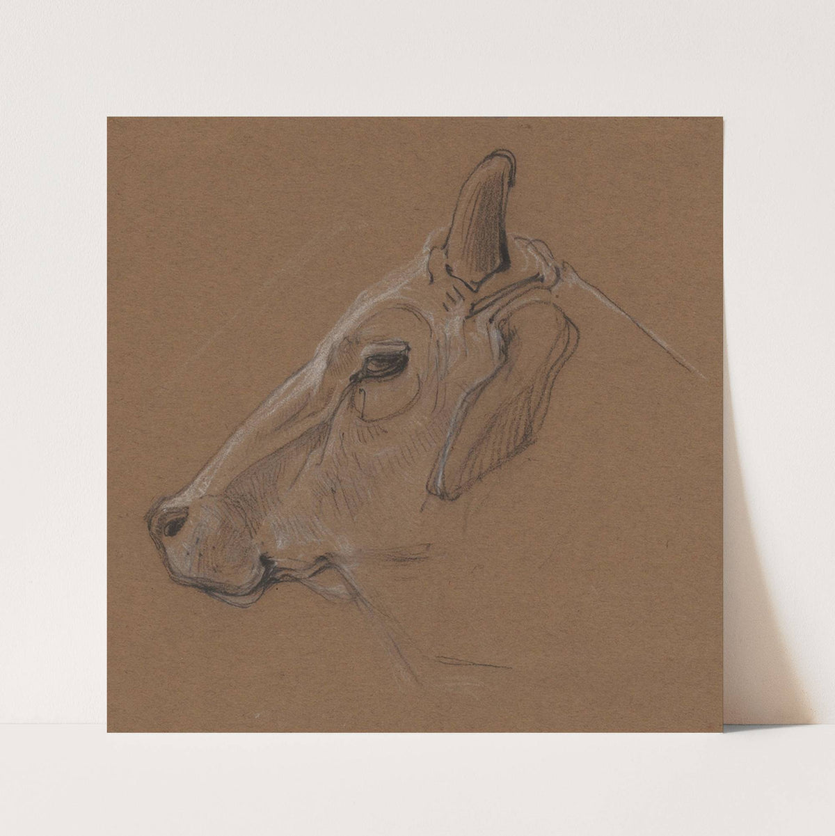 Zebu (1866) by Bernard Willem Wierink