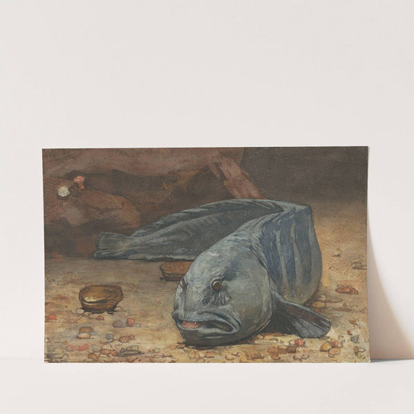 Zeewolf op de bodem van een aquarium by Willem Witsen