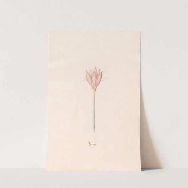 Zeitloss (1692) by Magdelena Rosina Funck