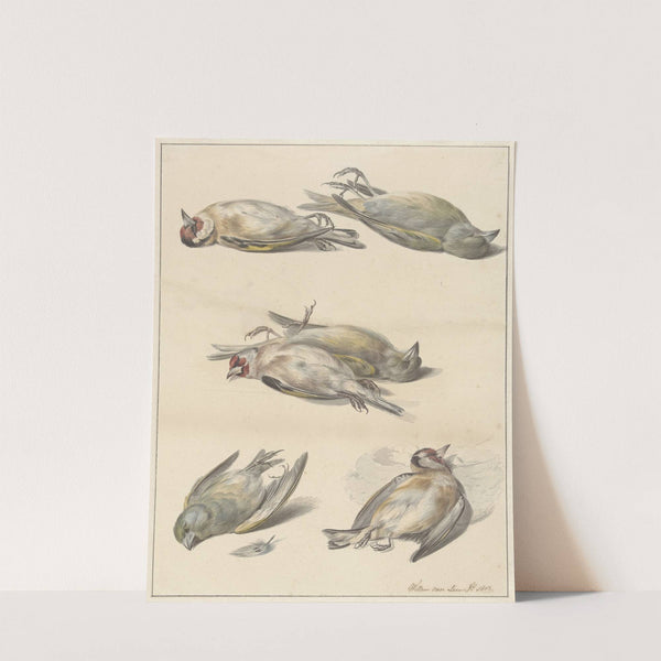 Zes dode vogeltjes by Willem van Leen