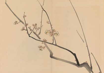 Zeshin iboku tairyūkyo gafu, Pl.01