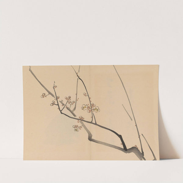 Zeshin iboku tairyūkyo gafu, Pl.01 by Shibata Zeshin