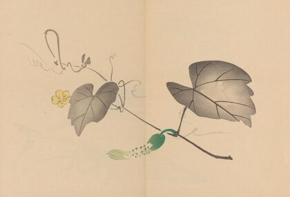 Zeshin iboku tairyūkyo gafu, Pl.04