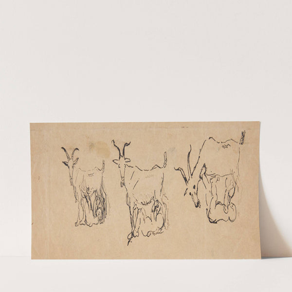 Zeusbarnet dier geden 3 studier by Anne Marie Carl Nielsen