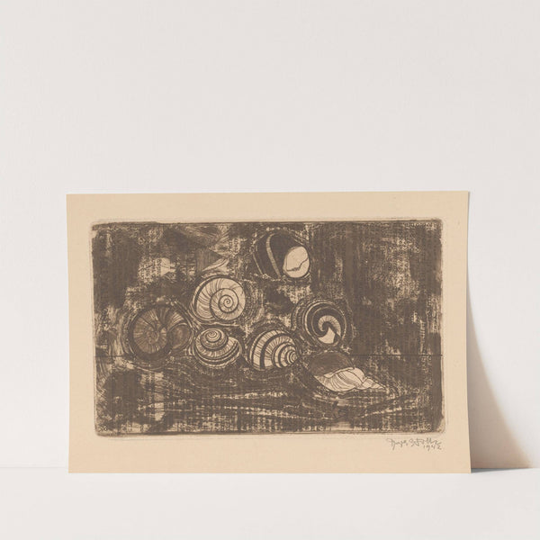 Zeven schelpen by Reijer Stolk