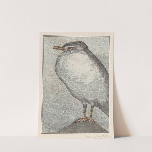 Zilvermeeuw by Theo van Hoytema