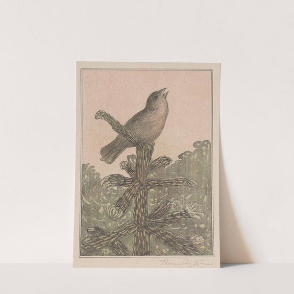 Zingende vogel op naaldboom by Theo van Hoytema