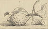 Zitrone