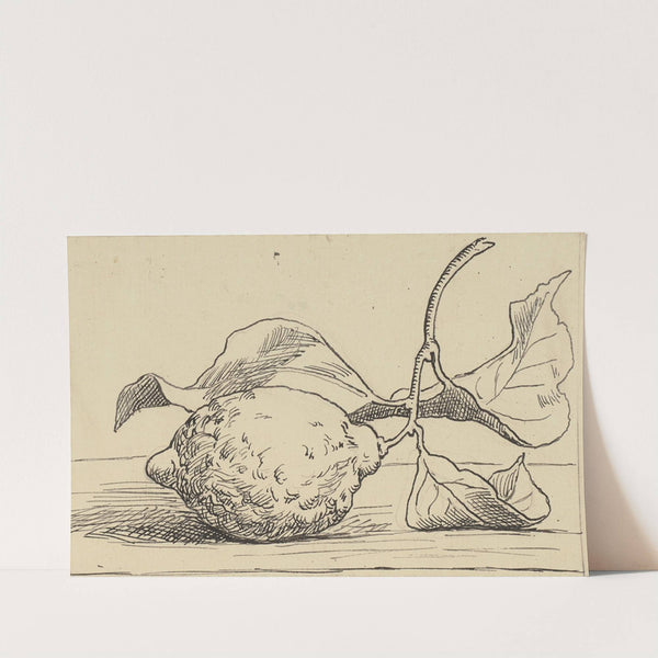 Zitrone (ca 1905) by Hans Thoma