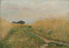 Zomerlandschap – Korenveld