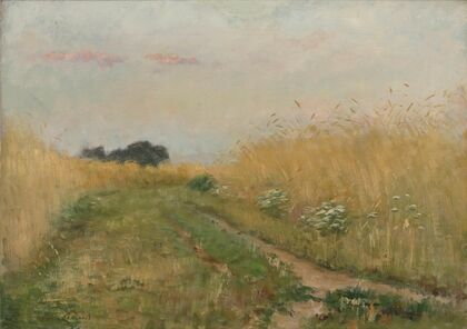 Zomerlandschap – Korenveld