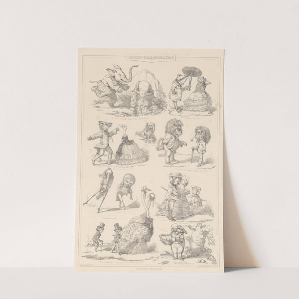 Zoological Education by Alfred Henry Forrester