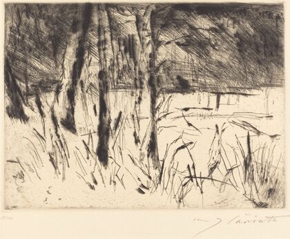 Zoological Garden (Tiergarten) (1922)