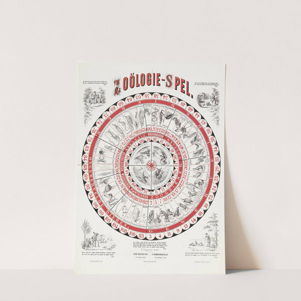 Zoölogie-spel by Amand