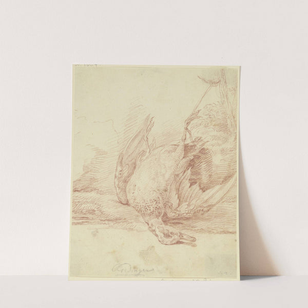 Zur Strecke gebrachte Ente, den Kopf nach rechts by Johann Elias Ridinger