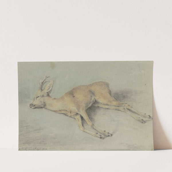 Zur Strecke gebrachter Rehbock (1830) by Carl Kuntz