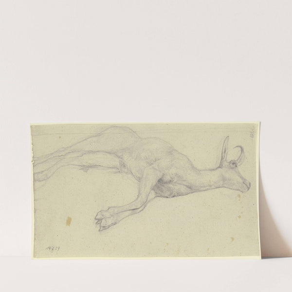 Zur Strecke gebrachter Steinbock by Jakob Becker