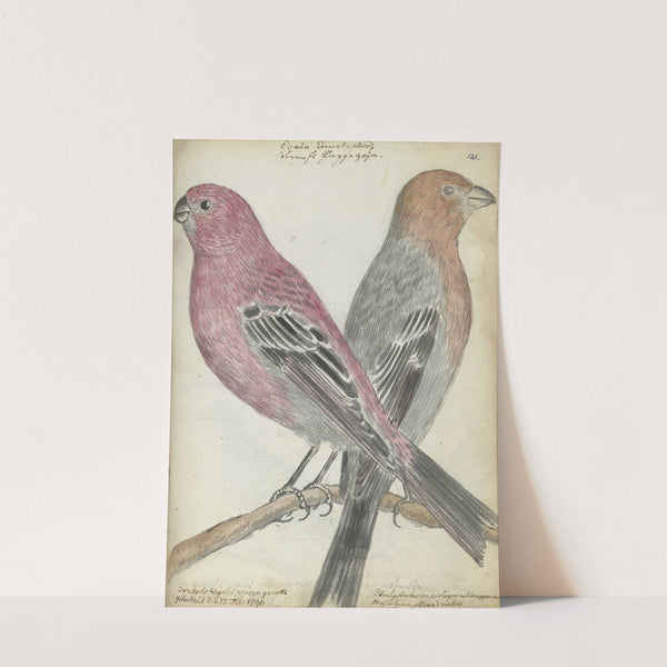 Zweedse vogels by Jan Brandes