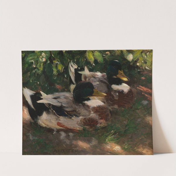 Zwei Erpel auf dem Wasser (1900) by Alexander Koester