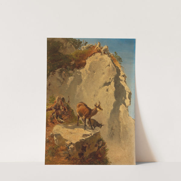 Zwei Gämsen in Hochgebirge by Anton Schrödl