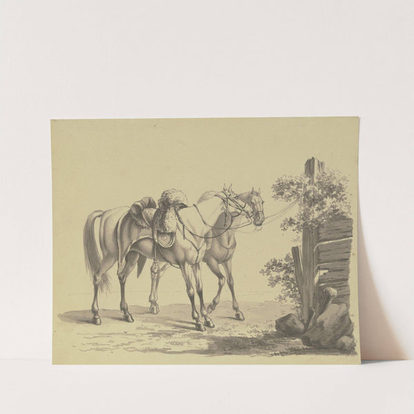 Zwei gesattelte Militärpferde, an einen Pfahl gebunden by Johann Adam Klein
