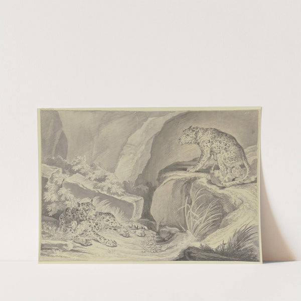 Zwei Jaguare mit ihren Jungen in einer Felsenkluft by Johann Elias Ridinger